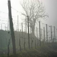 Cascina Piano Inverno